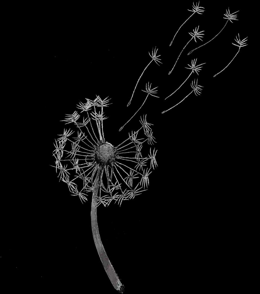 Dandelion